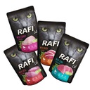 Dolina Noteci Rafi Cat Mix of Flavors Vrecúško 12x100g