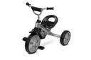 3-KOLESOVÝ BICYKEL ĽAHKÝ KOVOVÝ TRIKETERO TOYZ YORK GREY