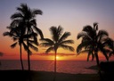 Fototapeta Mosquito Hawaii Tropics Sunset