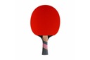 EXCEL CARBON 3000 CORNILLEAU PINGPONG BALET