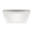 LED stropné svietidlo OLGA LED D 18W WHITE CCT