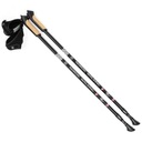 Nastaviteľné palice na Nordic Walking Long Life SMJ sport HS-TNK-000005637 N/A