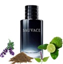 SAUVACE SELVACE SAVAGE PÁNSKY PARFÉM 100ml