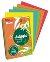 Rey Adagio intenzívny mix kopírovací papier A4 80g stoh