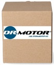 DR.MOTOR EGR VENTIL DRM181106