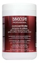 BingoSpa Professional škoricový koncentrát 1000 ml