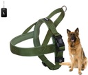 Nobby Classic Preno Norwegian Harnesses Green L