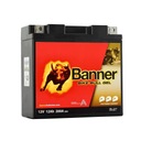 BANNER BIKE BULL GEL GT14B-4 51221 12V 12Ah 200A L+ YT14B