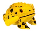 Guiro žabka 11cm AFROTON AFR735B žltá