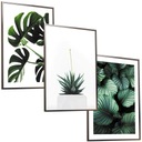 SET A3x3 RÁM MODERNÝ OBRAZOVÝ MONSTERA PLAGÁT