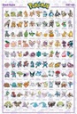 POKEMON SINNOH CHARACTERS PLAGÁT 61x91,5cm