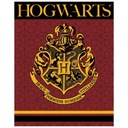 HARRY POTTER HOGWARTS DEKA VEĽKÁ MÄKKÁ 120X150