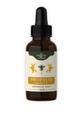 PROPOLIS tinktúra 20% 100ml PROTIZÁPALOVÁ ODOL.