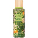 VICTORIA'S SECRET MELON DRENCH 250 ml TELOVÁ HMOTA PRE ŽENY