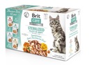 BRIT CARE CAT FG STERILIZOVANÁ KRABIČKA S príchuťami / Mix of Flavors Vrecúška 12X85g