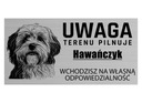 Sign Attention Pes SLEDUJE OBLAST Havanese