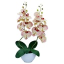 Umelá orchidea, 2 výhonky, 62 cm, Golden Golden