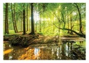 Fototapeta GREEN FOREST 3D Trees Landscape 368x254