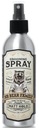 Stylingový sprej Grooming Matt Citrus 200ml