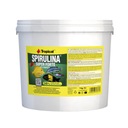 TROPICAL Spirulina Forte vločky 36% Vločkové krmivo pre ryby 5L