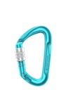 Horolezecká karabína Edelrid Pure Screw III - icemint