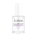 KABOS MANICURE BASE TITANIUM DIP SYSTEM BASE GEL