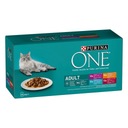 PURINA ONE Dospelý set vrecúšok pre mačky, MIX príchutí, 40x85g