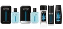 STR8 LIVE TRUE XXL SET EDT100ml+ASL100ml+DNS85ml+SPRAY150ml+GEL400ml