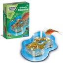 507993 CHOV CLEMENTONI TRIOPS