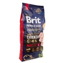 BRIT Premium By Nature ADULT L veľký 15 kg