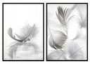 OBRAZOVÉ PLAGÁTY V RÁME 33x43cm Diptych Perie P728