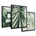 SET Zarámované obrazy plagáty listy palmový monstera triptych 43x99