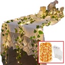 LED Ivy GARLAND SET 24M SVADOBNÁ DEKORÁCIA