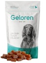 Geloren Small Dog 60 ks 180 g na kĺby malých psov