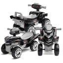 TOYZ RAPTOR MINI QUAD RIDER WALKER PUSHER