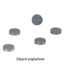 PROX VENTILOVÁ DOSKA 10,00 X 2,75 MM (1 KS)