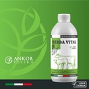 Herba Vital 200g - na nádchu a kašeľ pre hydinové sliepky