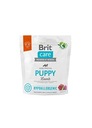 BRIT CARE HYPOALLERGENIC PUPPY LAMB 1kg