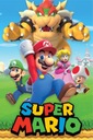 Super Mario Bros Heroes - plagát 61x91,5 cm