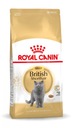 Royal Canin FBN Britské krátkosrsté krmivo 4kg+ZDARMA