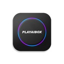 CarPlay Ai Box Wireless Android Auto Netflix