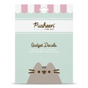 PUSHEEN NÁLEPKY NA TABLETY LAPTOP