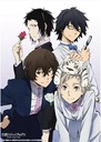 Plagát Bungou Stray Dogs BSD_005 A2 (vlastné)