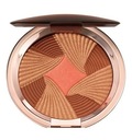 ESTEE LAUDER BROWNING FACE POWDER 02