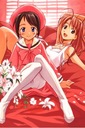 Plagát Anime Manga Love Hina loh_011 A1+