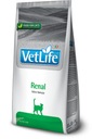 Farmina Vet Life Renal Feline 400 g pol