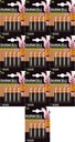 Batérie Duracell AA 2400mAh 4 ks x10