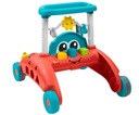 Fisher-Price Small Driver Push 2v1 HJP44