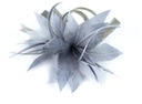 FASCINATOR Vlásenka Lovely whisper cz18239-3