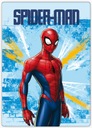 DEKA SPIDERMAN100x140 DEKA PRIKR